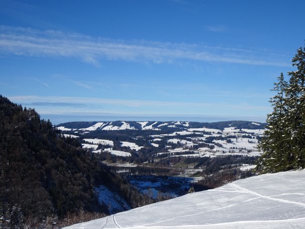 Aussicht auf den Alpsee und Immenstadt - Naturpark Nagelfluhkette