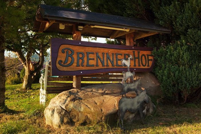 brenner31