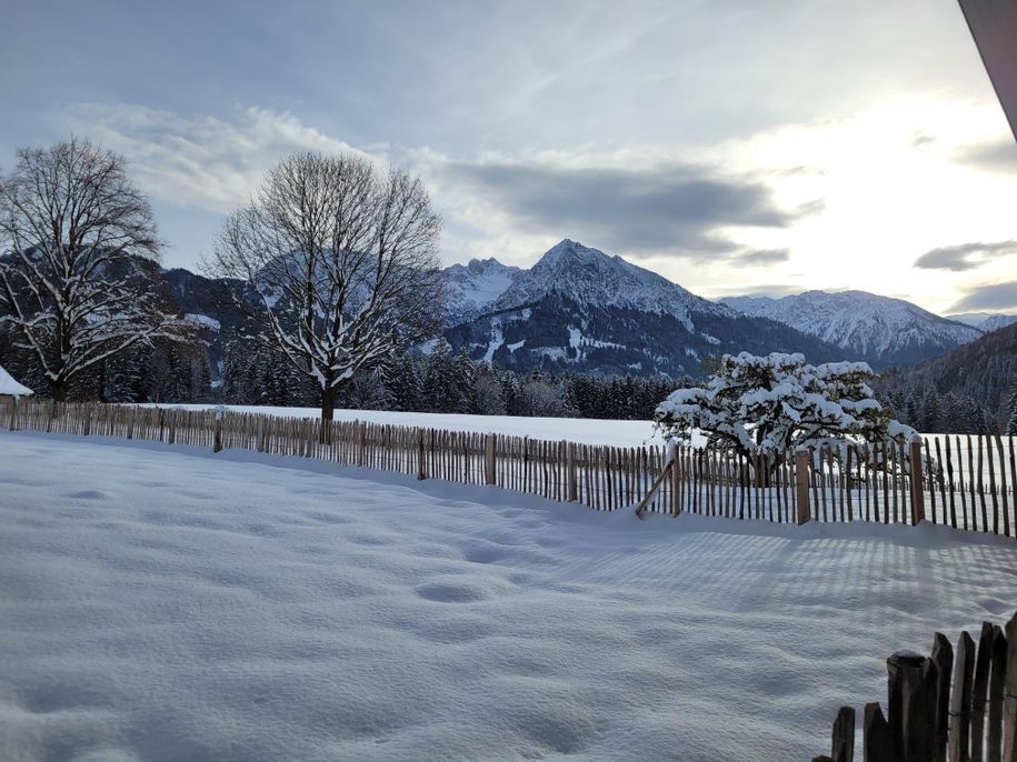 verschneiter Garten