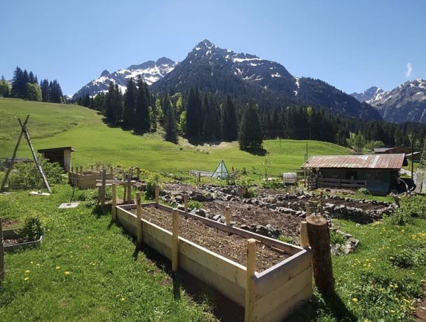 Permakulturgarten Andi Haller (1)