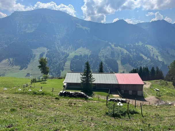 Prodel Alpe vor dem Hochgrat