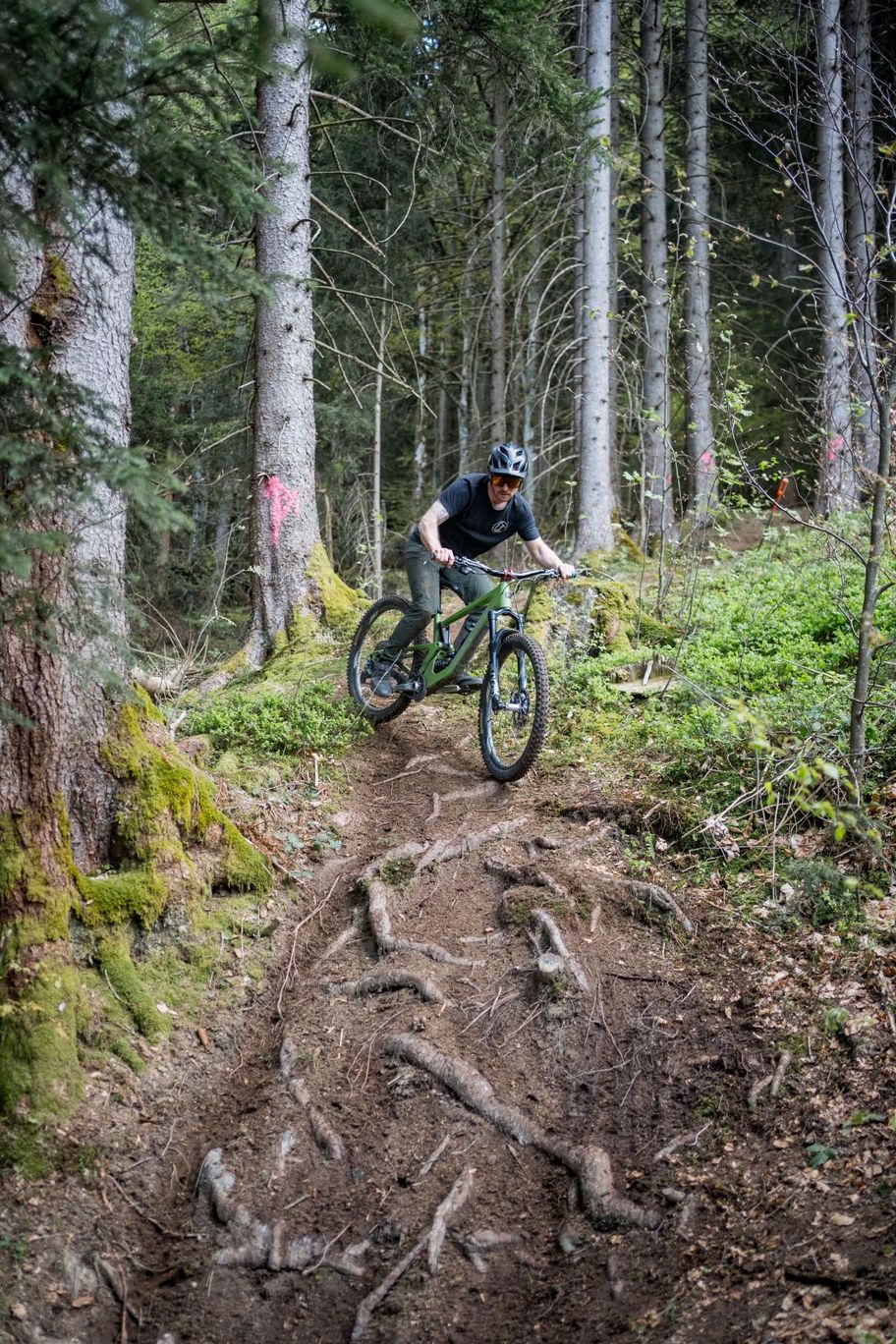 Neulandtrail Wurzelfeld