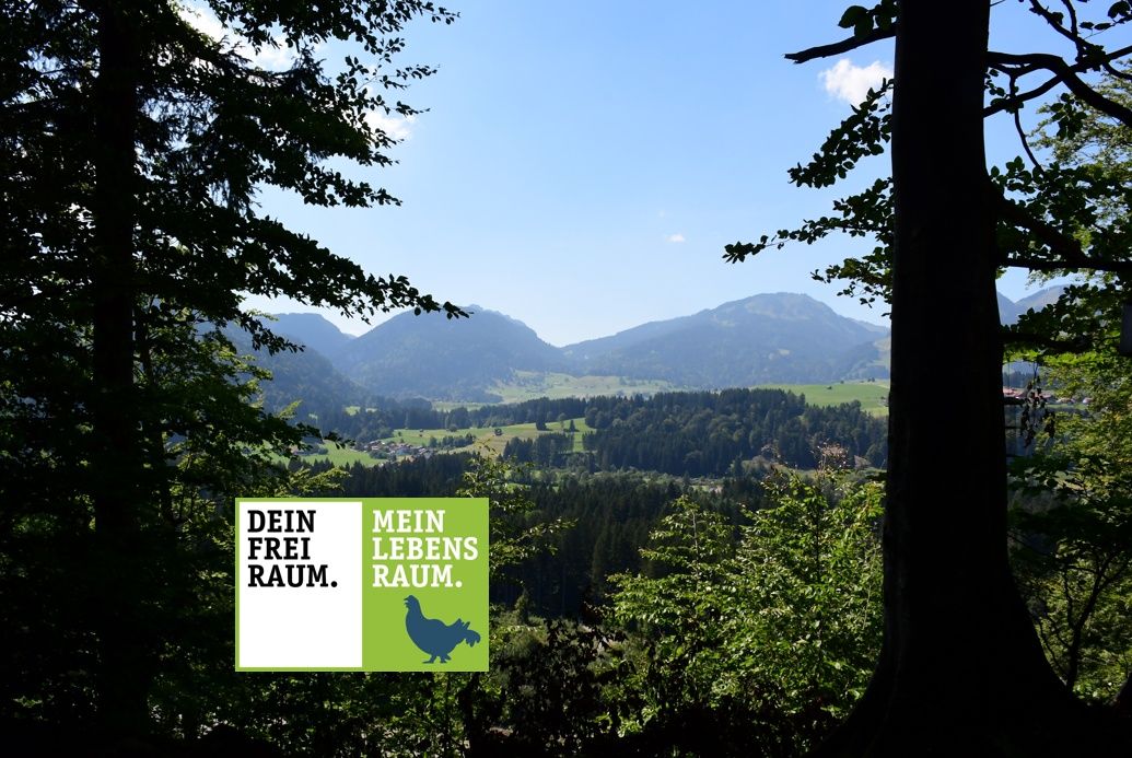 Ausblick Richtung Obermaiselstein