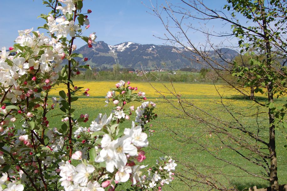 April (9)