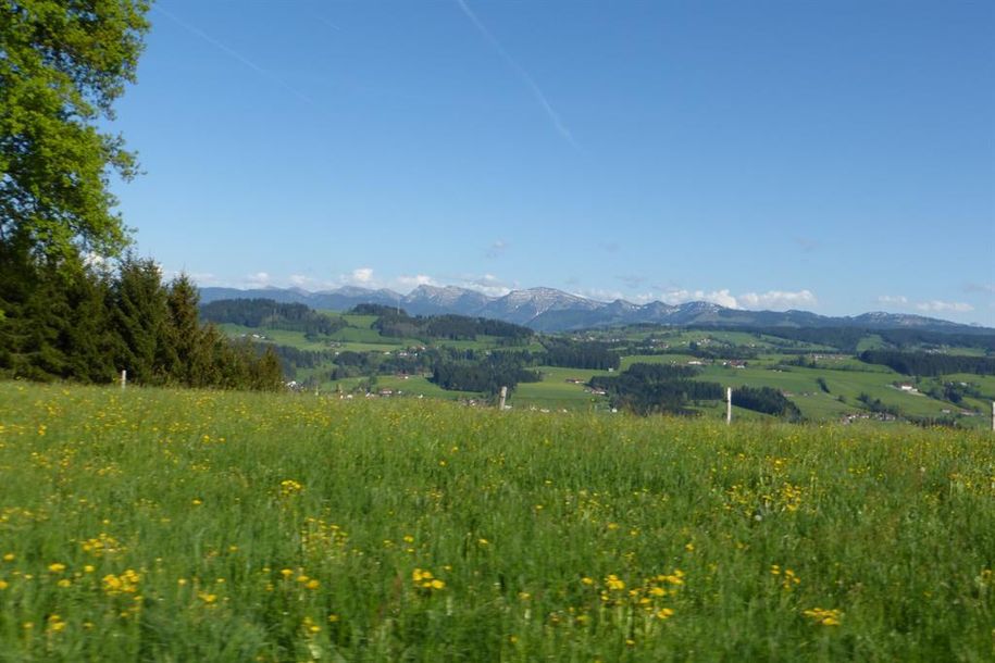 Das schöne Allägu