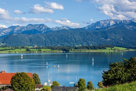 17449_K-17449_RIE_Forggensee_8890_1424095610_g