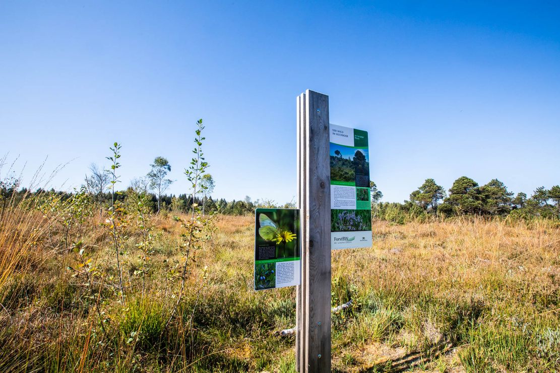 1_Arrisrieder Moos Infotafel2_Savarino