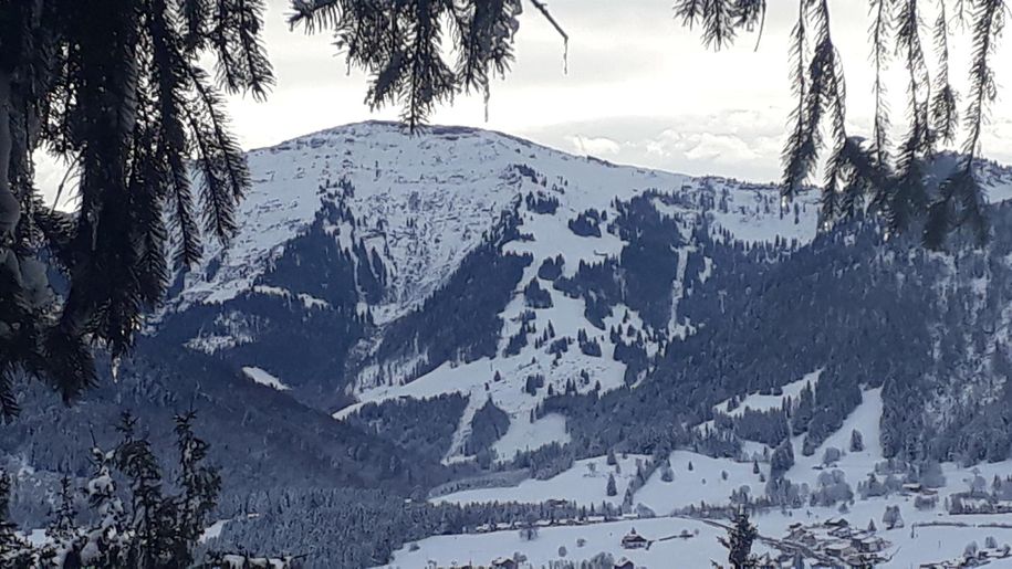 Der Hochgrat