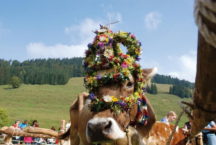 Viehscheid im Spätsommer