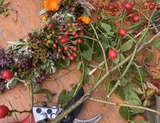Herbstkränze binden mit Martina Eichmann