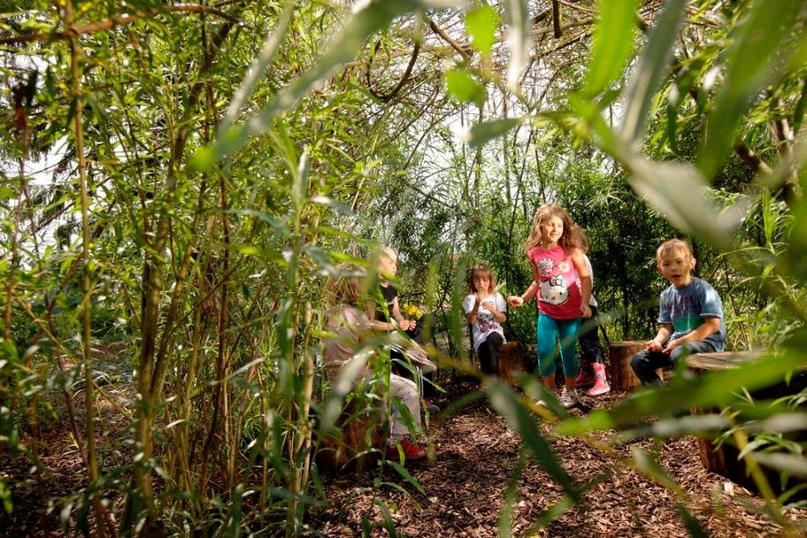 Naturerlebnis Benninger Ried