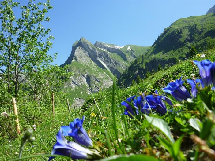 Frühling im Oytal