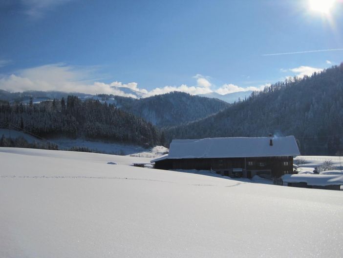 Winter