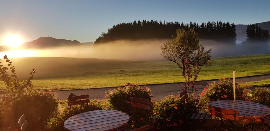 Nebel in der Morgensonne