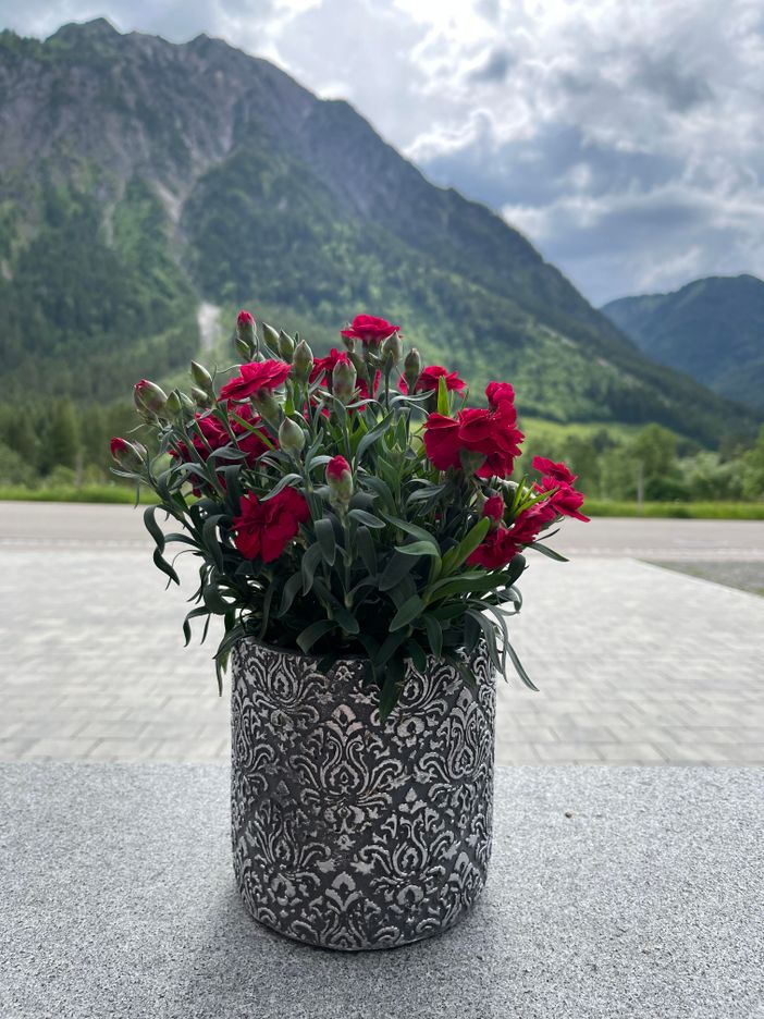 Ausblick Terrasse