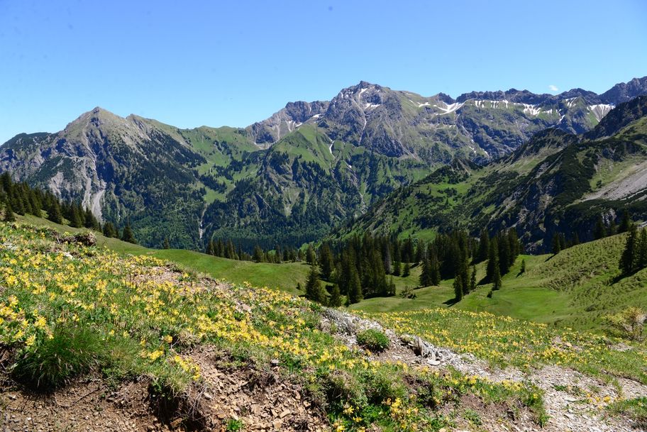 Auf dem Schnippenkopf