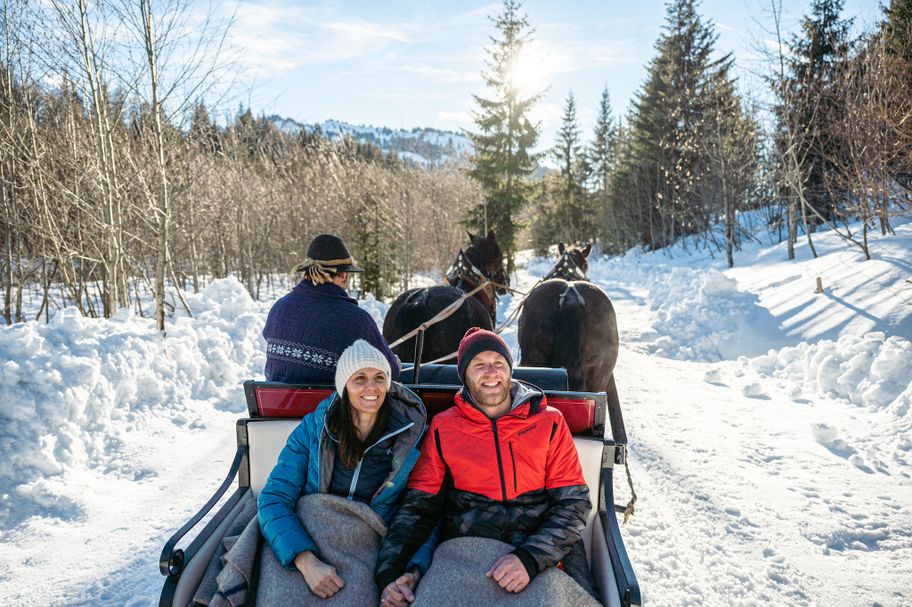 Romantische Pferdeschlittenfahrt in Balderschwang im Allgäu