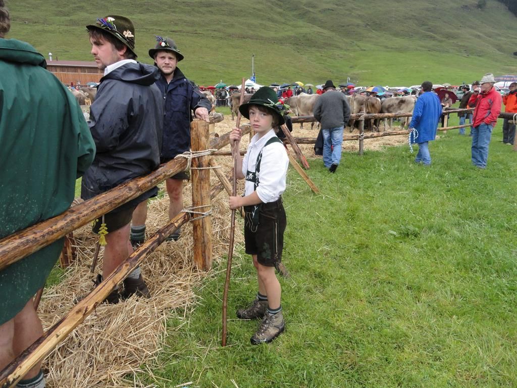 Ferienhof Almfrieden - Viehscheid in Balderschwang