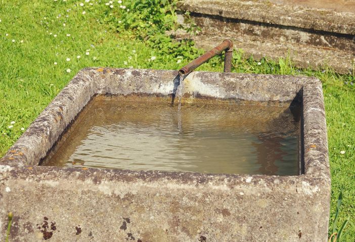 eigene Trinkwasserquelle vor der Haustüre