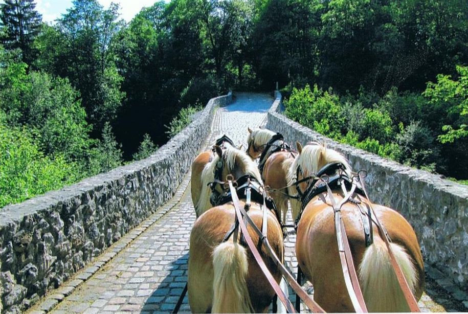 eine Kutschfahrt mit dem Hausherrn