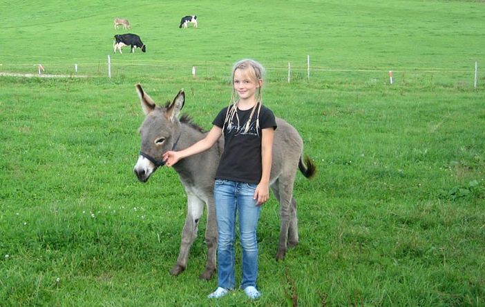 Schon mal einen Esel geführt?