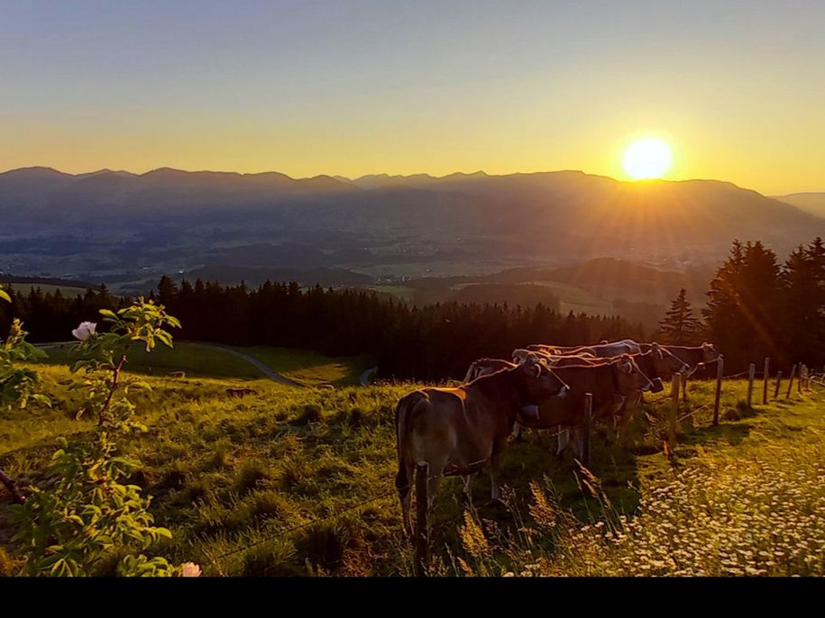 Sonnenuntergang Alpe