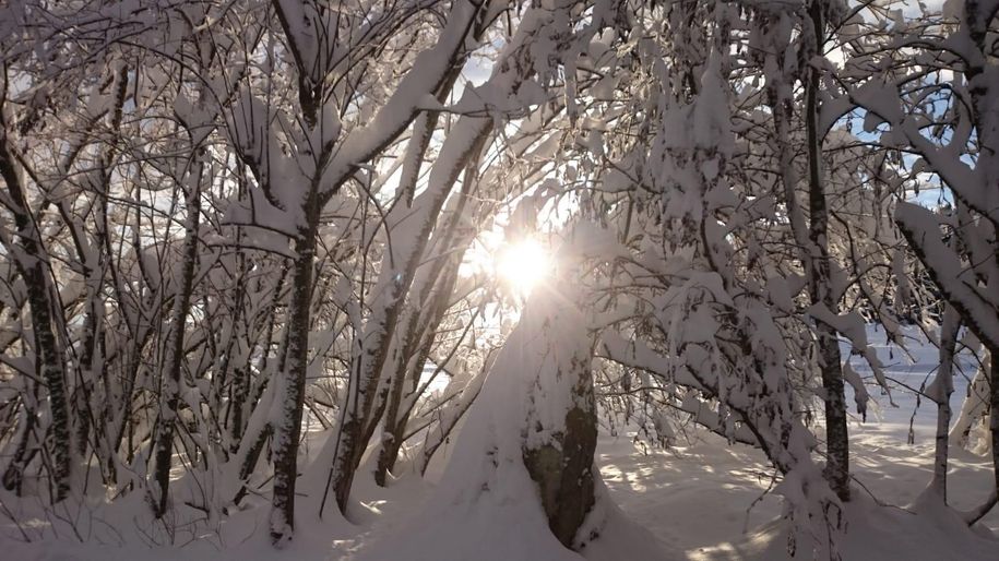 Winterwunderland