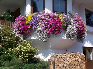 Rundbogen im Sommer - Gästehaus Herta Schmid