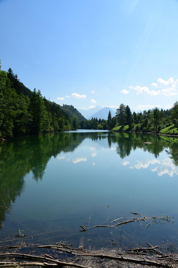 Auwaldsee