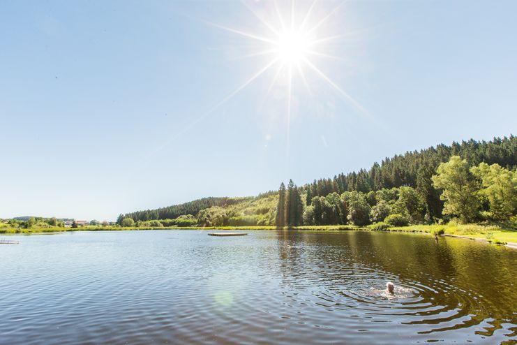 Ettwieser Weiher