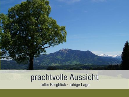 Aussicht auf Grünten