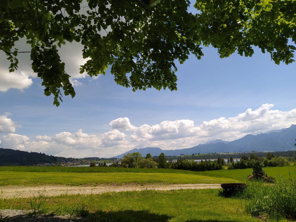 Blick vom Grillplatz unter der Linde