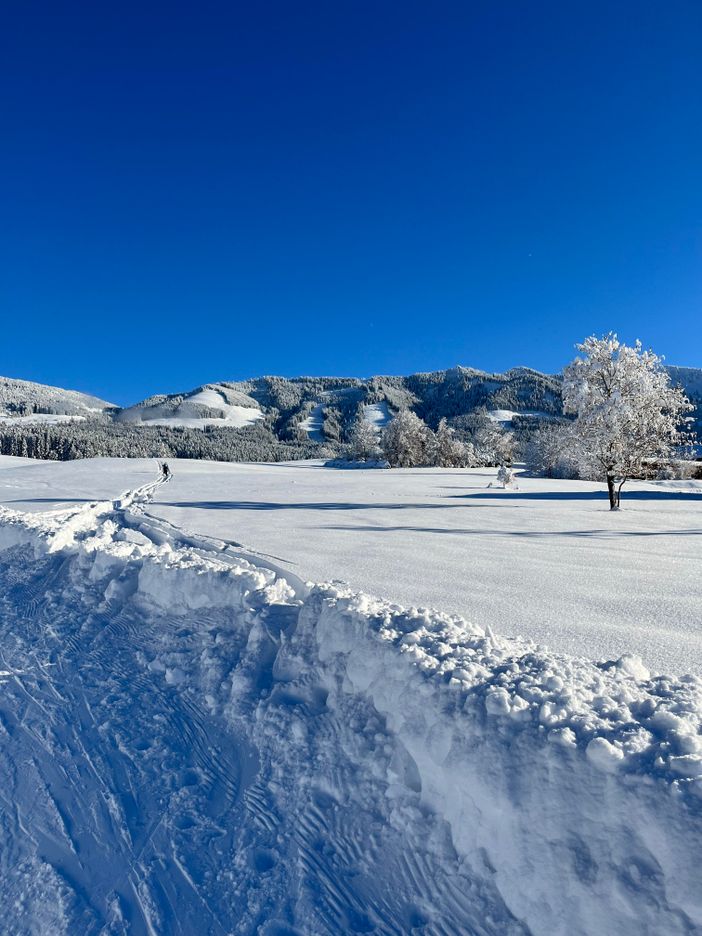 Sonnenkopf im Winter