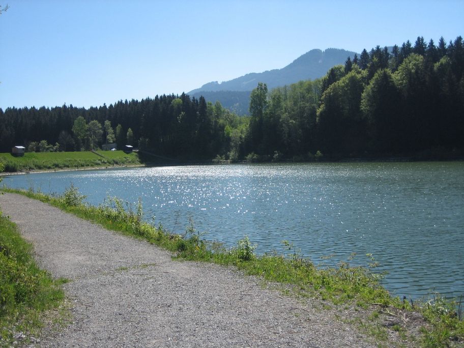 Radweg am Grüntensee