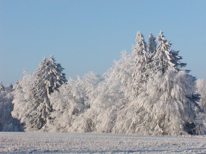 Winteridylle im Unterallgäu