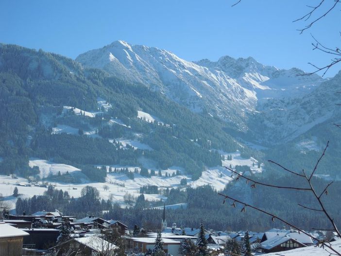 Blick auf das Nebelhorn