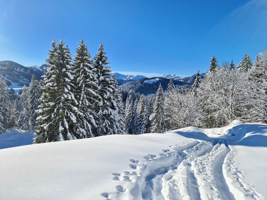 Unterhalb der Alpe Dürrehorn