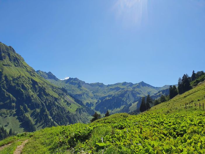 Im Hintersteiner Tal