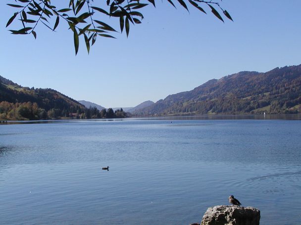 Bühl am Alpsee