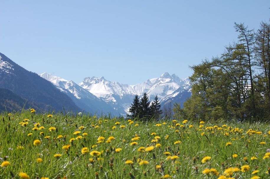 auf der Burg im Frühling