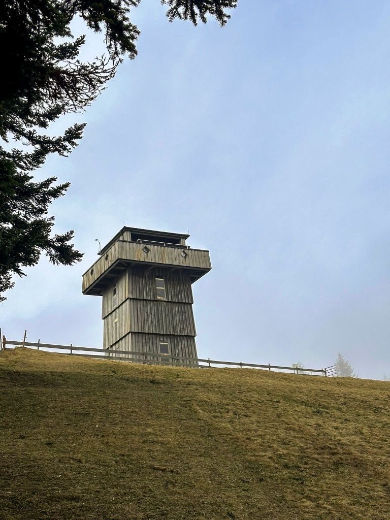 Alpkönigblick