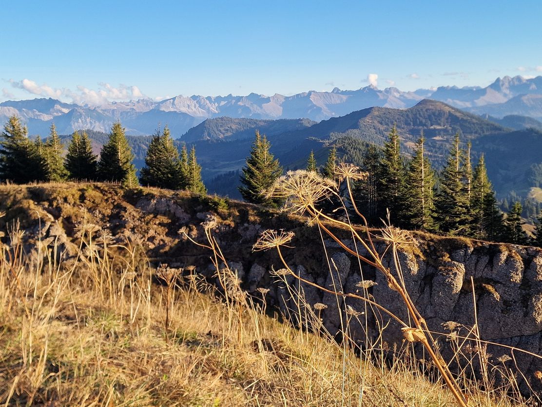 Von Gunzesried-Säge zum Siplingerkopf