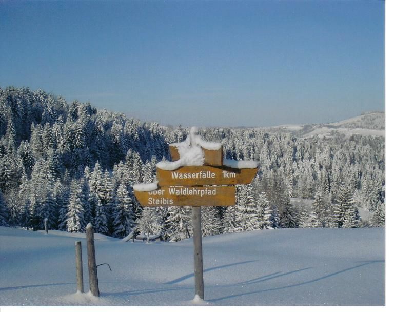 Wanderwege in Steibis