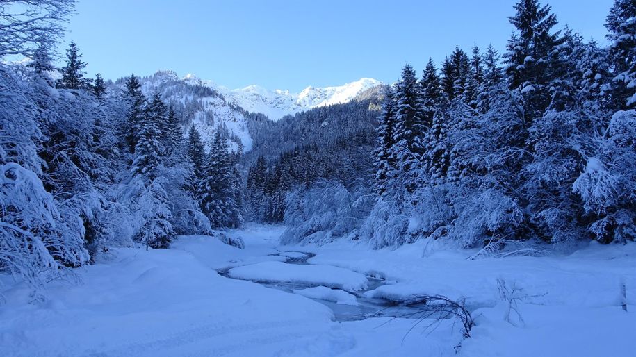 im Hintersteiner Tal