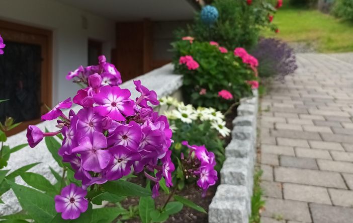 2024 Blumen vorm Haus