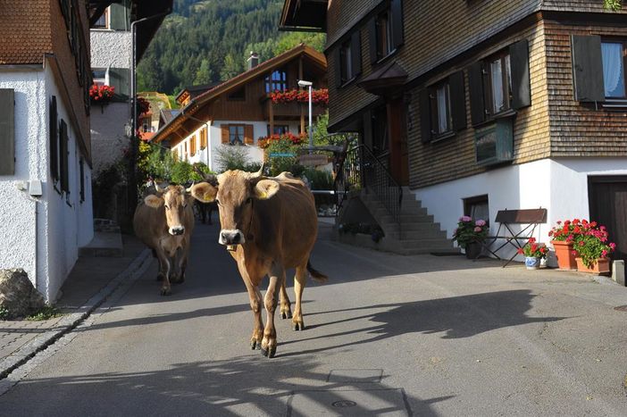Idylle in unserer Straße