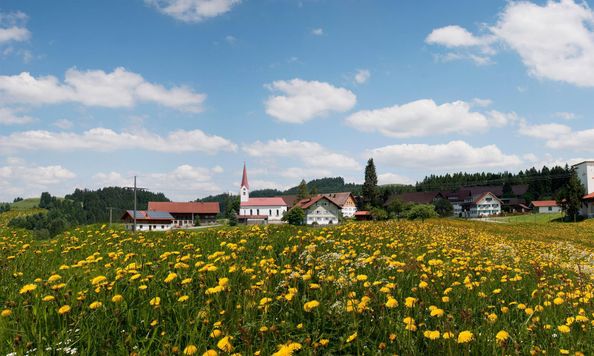 Zell