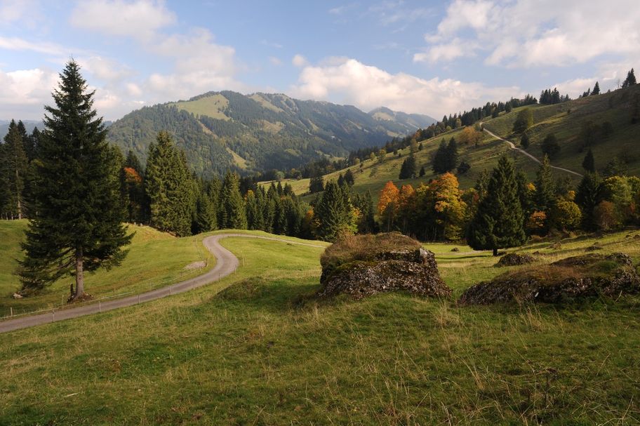 Alten Bäumen auf der Spur - Die Baumveteranen von Oberstaufen-Steibis