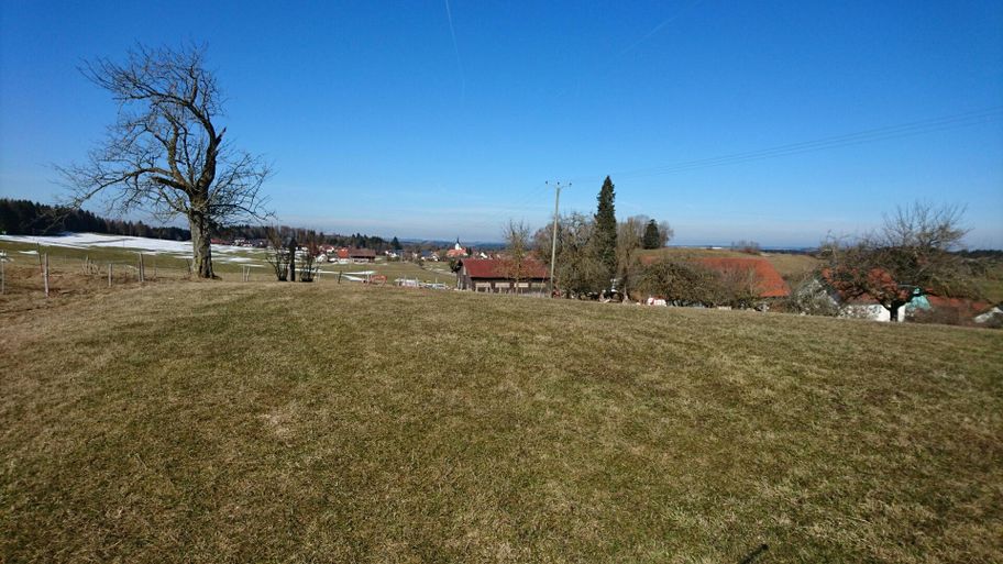Blick in Richtung Ratzenried