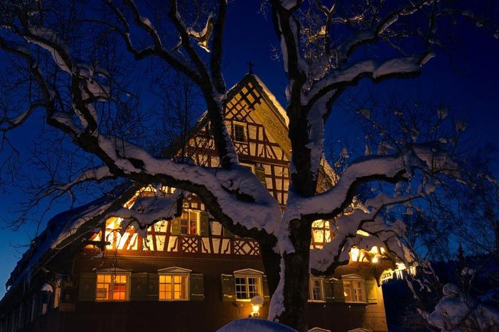 Traube im Winter
